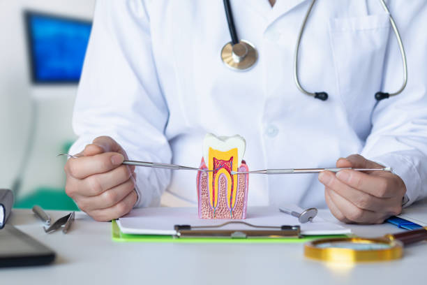 Best Weekend Emergency Dentist in Lumber City, GA